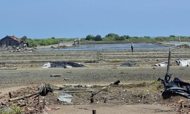 Musim Hujan Reda Petambak Garam Jepara Mulai Garap Lahan,  Agar Panen Awal