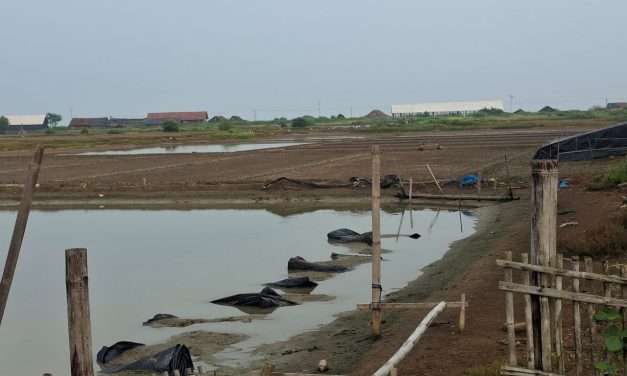 Petambak Garam Jepara Mulai Garap lahan , Harga Terus Merosot