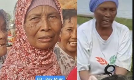 Inilah Ibu Yang Angkat Mayat Bayi Tepi Sungai SWD 2 Di Desa  Kedungmalang Jepara