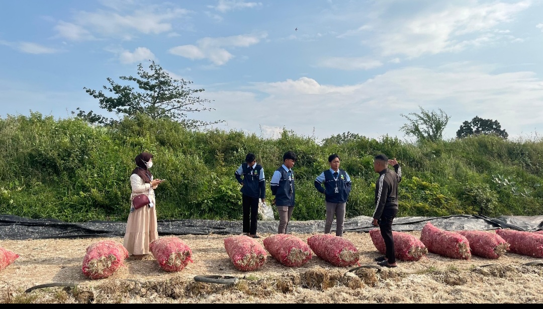 Mahasiswa KKN UIN Walisongo Kunjungi UMKM Pengolah Limbah Bulu Ayam di Demak, Dorong Potensi Pakan Ternak Bernilai Ekonomis