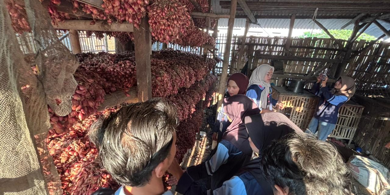 Menggali Potensi Pertanian Lokal, Mahasiswa KKN UIN Walisongo Kunjungi Petani Bawang Desa Bakung