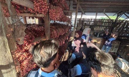 Menggali Potensi Pertanian Lokal, Mahasiswa KKN UIN Walisongo Kunjungi Petani Bawang Desa Bakung