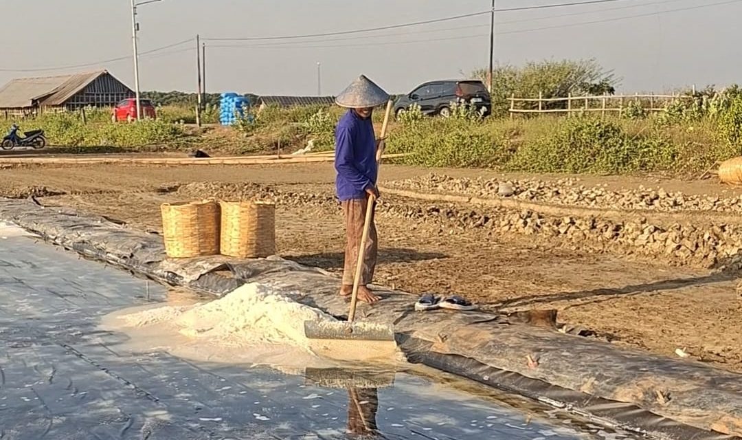 Jelang Panen Raya Harga Garam Baru di Jepara Perkeranjang Rp 100 Ribu