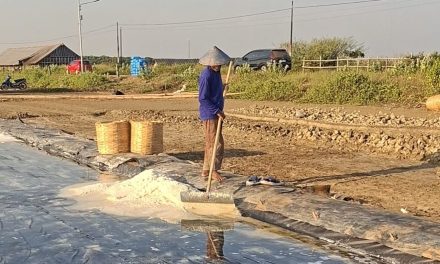 Jelang Panen Raya Harga Garam Baru di Jepara Perkeranjang Rp 100 Ribu