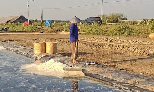 Jelang Panen Raya Harga Garam Baru di Jepara Perkeranjang Rp 100 Ribu