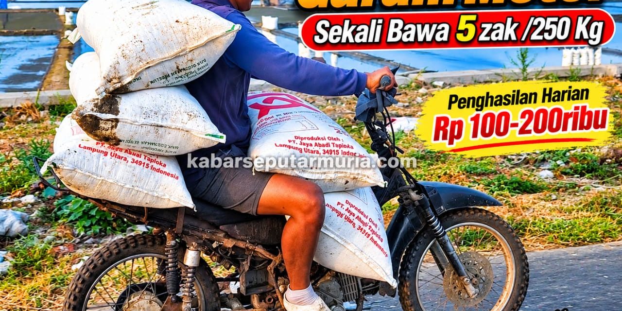 Tenaga angkut garam Sekali Bawa 5 Zak ,Kerja keras Demi Keluarga
